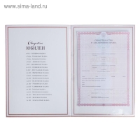 Папка для свидетельства о заключении брака &laquo;Влюблённая пара&raquo;, А4