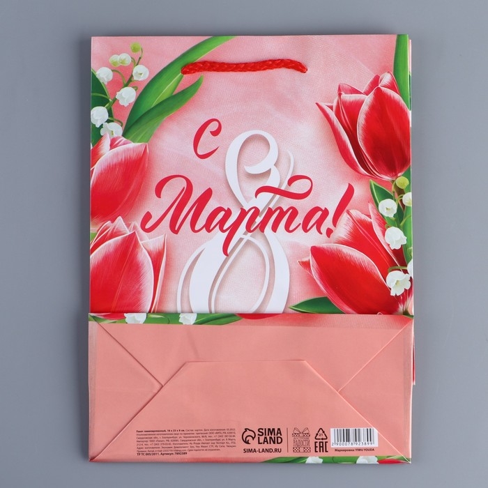 Пакет подарочный ламинированный горизонтальный, упаковка, &laquo;Краски весны&raquo;, MS 18 х 23 х 8 см