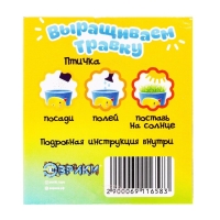 Набор для опытов &laquo;Выращиваем травку&raquo;, птичка
