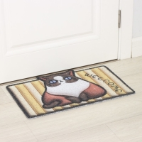 Коврик придверный Доляна, 40&times;60 см