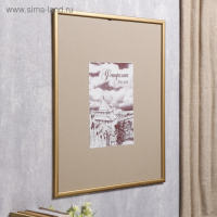 Фоторамка сосна с19 золото 50х60 см (пластиковый экран)