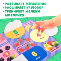 Книжка картонная с окошками &laquo;Цифры&raquo;, 10 стр.