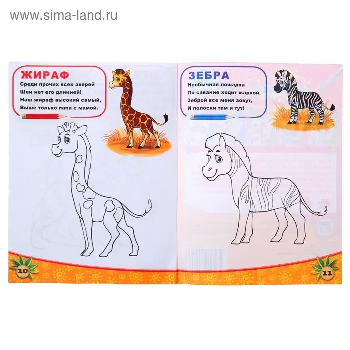 Раскраска &laquo;Животные южных стран&raquo;, 12 стр.