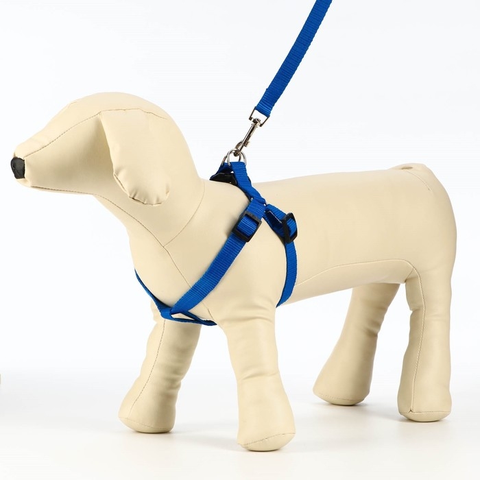 Комплект &laquo;Базис&raquo;, поводок 120&times;1.5 см, шлейка 32-46&times;1.5 см, синий