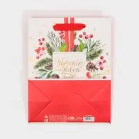 Пакет подарочный новогодний ламинированный &laquo;Чудесного Нового Года&raquo;, MS 18 х 23 х 10 см