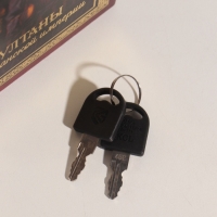 Сейф-книга дерево кожзам "Султаны Османской империи" тиснение 21х13х5 см