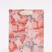 Пакет подарочный &laquo;Деньги&raquo;, S 12 &times; 15 &times; 5,5 см