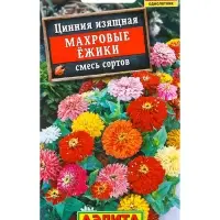 Семена цветов Цинния Махровые ёжики, смесь сортов , Ц/П,0,3 г