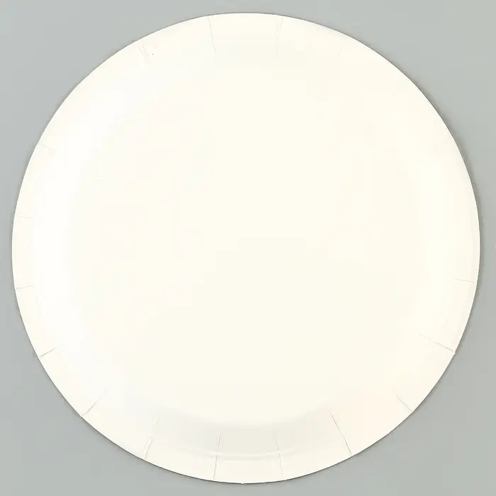 Тарелки бумажные одноразовые &laquo;Полоски&raquo;, 6 шт.