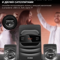 Музыкальный проигрыватель H-MS1404 черный 30Вт