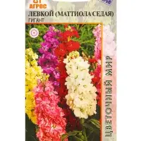 Семена Левкой гигант 0,2 г