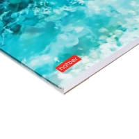 Альбом для рисования, А4 20 листов, Hatber &laquo;Золотые рыбки&raquo; белые листы