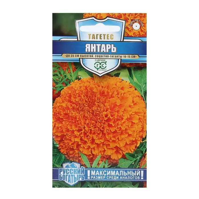 Семена цветов Бархатцы прямые (Тагетес) "Янтарь", ц/п,  30 см, 0,1 г
