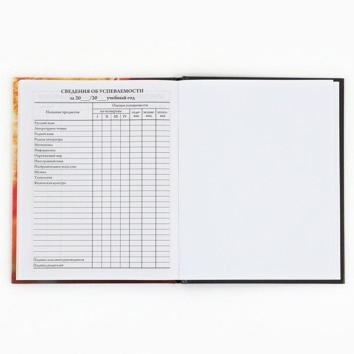 Дневник школьный 1-4 класса, в твердой обложке, 48 л &laquo;Футбольный мяч&raquo;