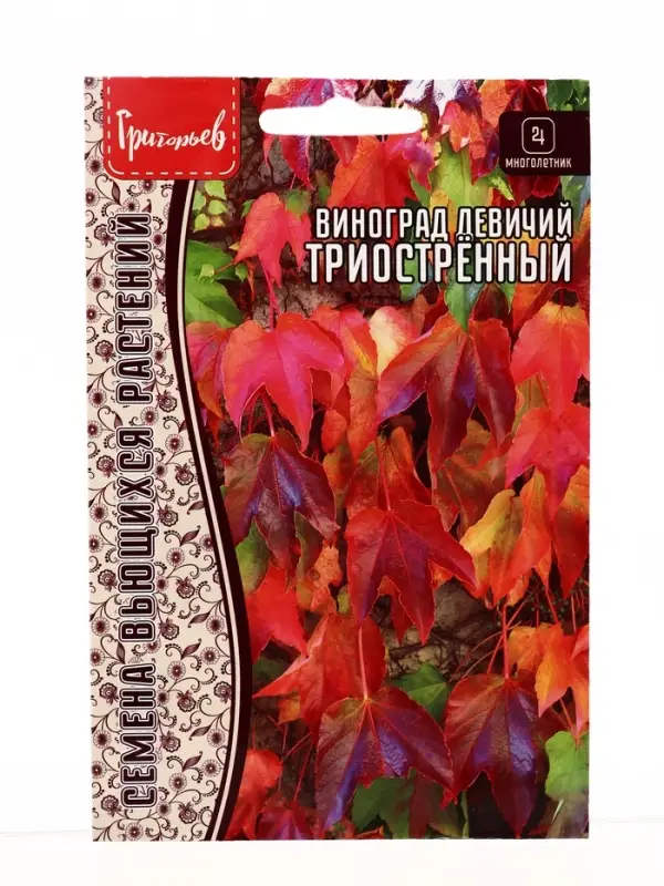 Семена цветов Виноград Триостренный девичий 0,2 г / НОВИНКА 12.29 г.