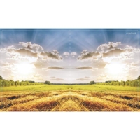 Тетрадь 96 листов в клетку Calligrata "Прекрасная пора", обложка мелованный картон, блок офсет, МИКС