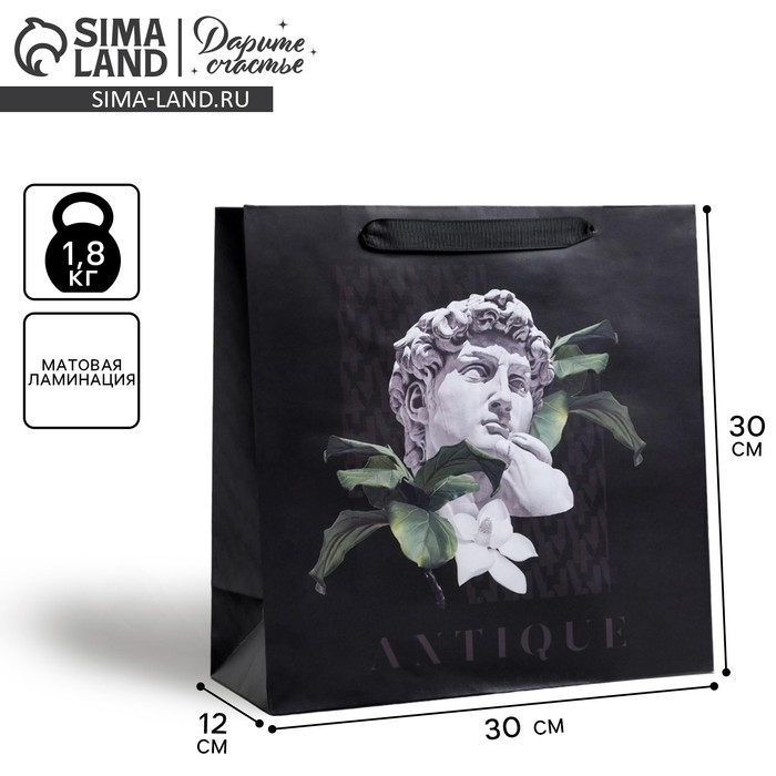 Пакет подарочный ламинированный квадратный, упаковка, &laquo;Antique&raquo;, 30 х 30 х 12 см
