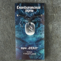 Амулет "Скандинавские Руны", руна ОТАЛ, 21х29мм, металлический