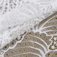 Кружевная эластичная ткань, 180 мм &times; 2,7 &plusmn; 0,5 м, цвет белый