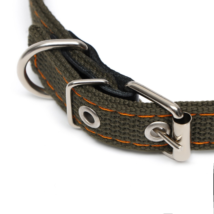 Ошейник брезентовый безразмерный двухслойный, 50 х 2 см, ОШ 22-45 см