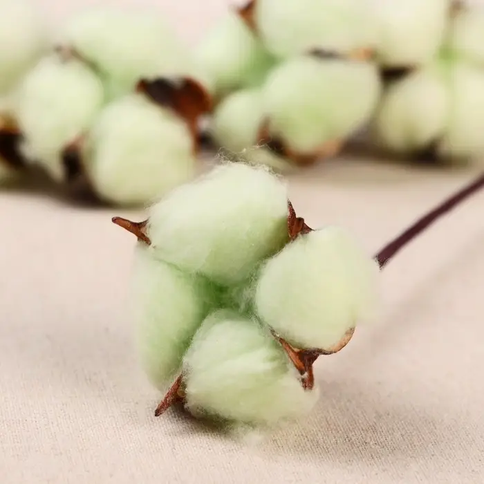 Декор сухоцвет "Хлопок" d-5 см 30 см, зелёный