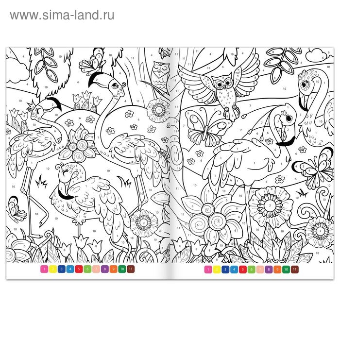 Раскраска по номерам &laquo;Страна волшебства&raquo;, 16 стр., формат А4