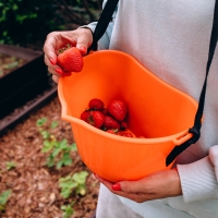 Ёмкость для сбора ягод, 3 л, оранжевая