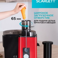 Соковыжималка электрическая центробежная SC-JE50S49