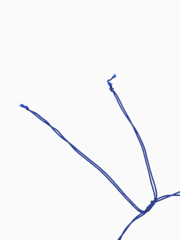 Браслет на ногу, анклет, длина 20 см, белый, синий