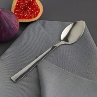 Ложка чайная из нержавеющей стали &laquo;Хоккайдо&raquo;, длина 15 см, толщина 1 мм