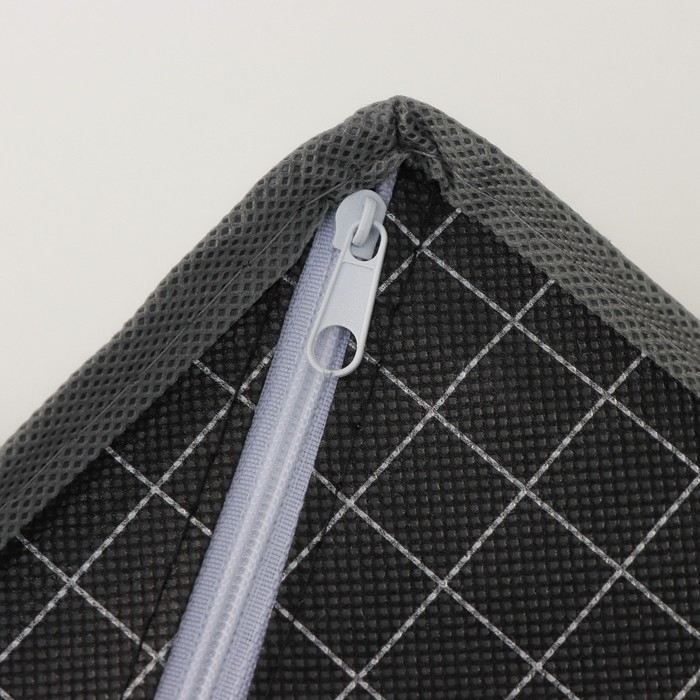 Органайзер для хранения белья Доляна &laquo;Кло&raquo;, 8 ячеек, 28&times;14&times;10 см, цвет чёрный