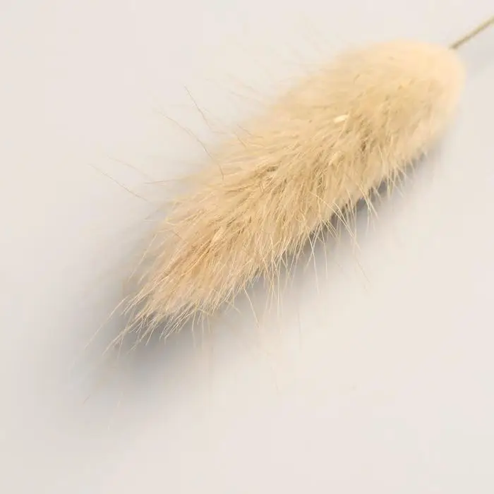 Сухоцветы &laquo;Лагурус&raquo;, h=65 см, (фасовка 30 шт., цена за 1 шт.), бежевые