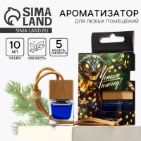 Ароматизатор для машины новогодний XXL &laquo;Успеха и побед&raquo;, на Новый год, свежесть