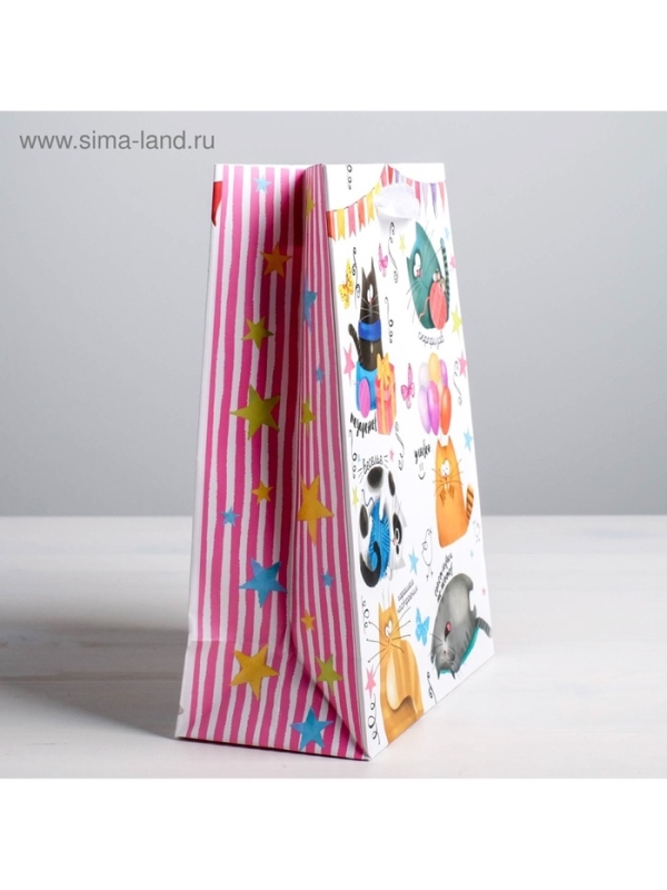 Пакет подарочный ламинированный вертикальный, упаковка, &laquo;Забавные коты&raquo;, ML 23 х 27 х 11.5 см
