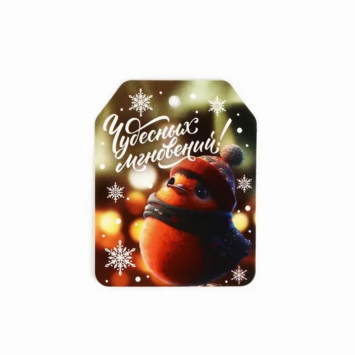 Шильдик на подарок &laquo;Чудо обязательно случится!&raquo;, набор 6 штук, 16&times;24 см