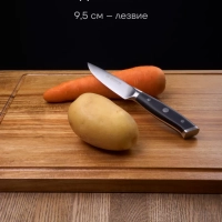 Набор кухонных ножей с подставкой и точилкой Сook Master 5SS