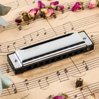 Губная гармошка Music Life T10-3 диатоническая, 10 отверстий, с футляром