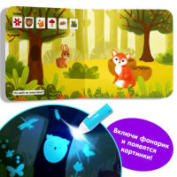 Книга с фонариком &laquo;Что где спрятано?&raquo;, 24 стр.