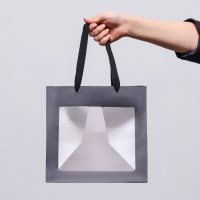 Пакет подарочный, крафт, с окном, &laquo;Черный&raquo;, 25 х 25 х 25 см