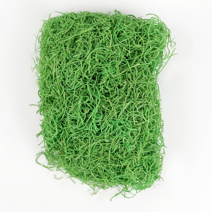 Наполнитель для декора &laquo;Сено&raquo;, 100 гр, цвет зелёный