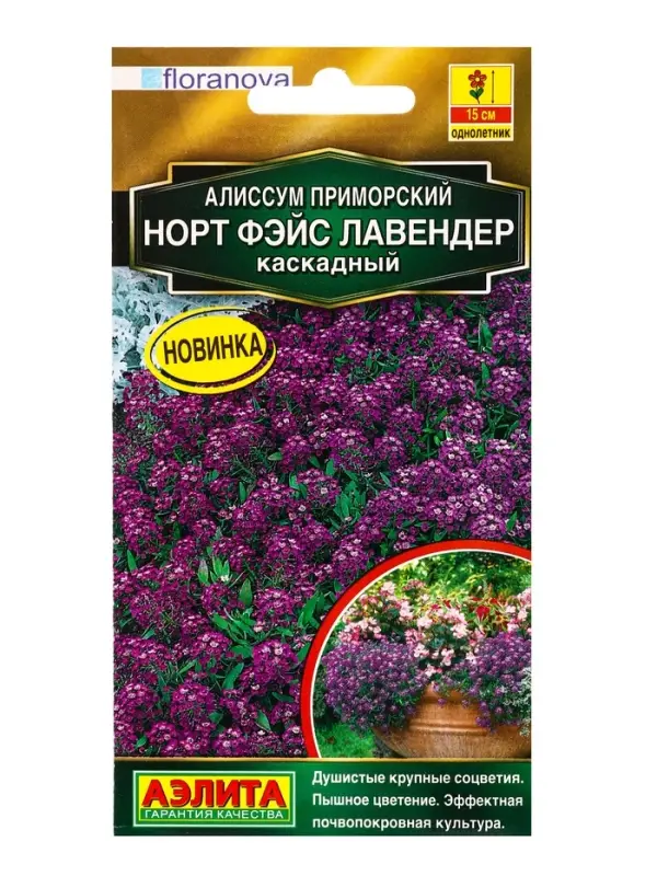 Семена цветов Алиссум Норт фэйс лавендер каскадный  С. Floranova Золотая серия, Ц/П,10 шт.
