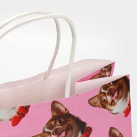 Пакет подарочный, упаковка, &laquo;Киса&raquo;, 22 х 22 х 11 см