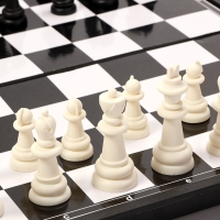 Шахматы 31 х 31 см, король h-5.8 см, d-2.3 см, доска и фигуры пластик