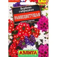 Семена цветов Вербена Раннецветущая, смесь сортов , Лидер,30 шт.