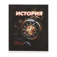 Тетрадь предметная 48 листов в клетку Calligrata &laquo;3D. История&raquo;, со справочным материалом, обложка мелованный картон, блок №2, белизна 75% (серые листы)