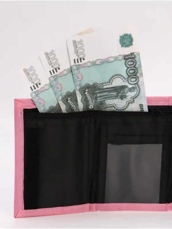 Кошелек детский на липучке, Коты аристократы