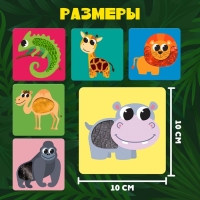 Развивающий набор &laquo;Животные Африки&raquo;, тактильные карточки