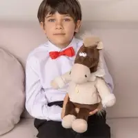 Мягкая игрушка &laquo;Конь Василий в дубленке&raquo;, 27 см