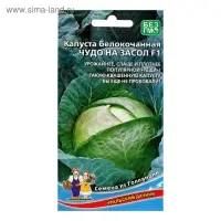 Семена Капусты белокочанной "Чудо на Засол" F1 для квашения и засола,кочан до 4 кг, 0,3 г