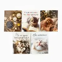Набор мини-открыток в коробке со скрепками &laquo;Котики&raquo;, 35 штук, 8 x 10 см